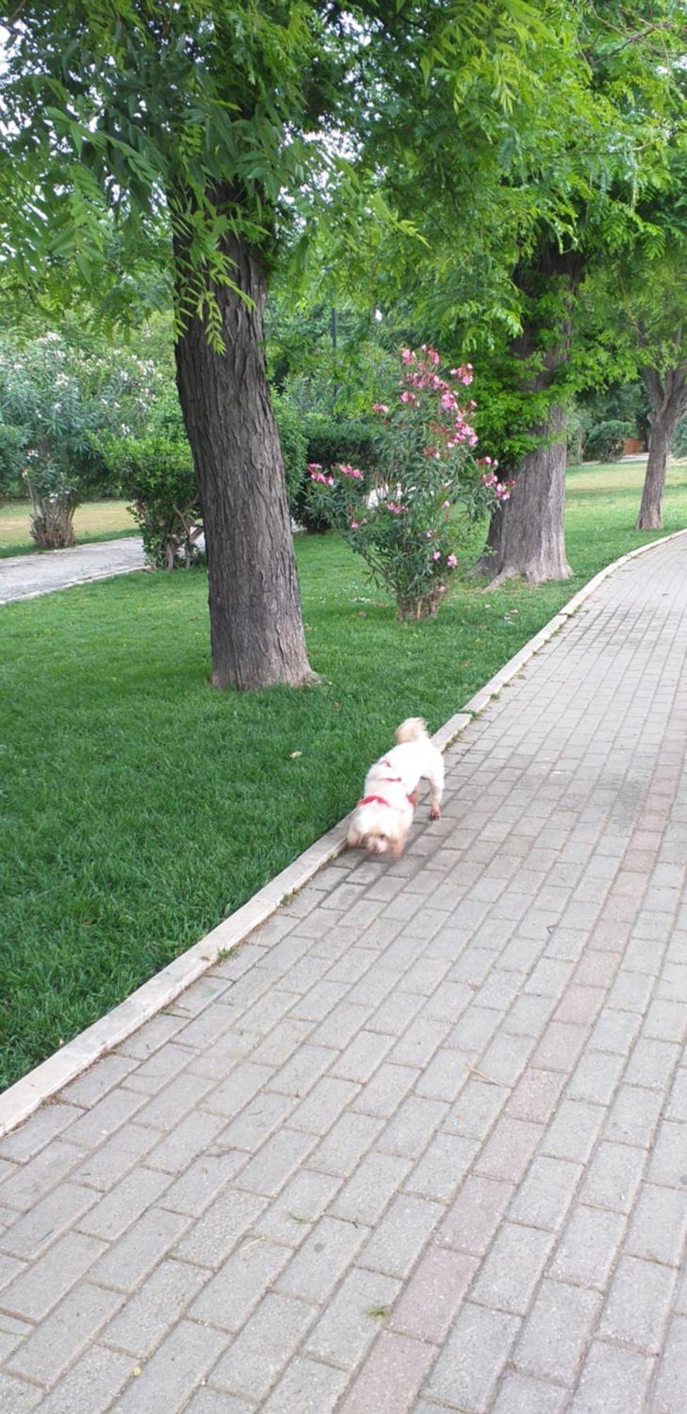 Apartment Christy Corfu (city)
